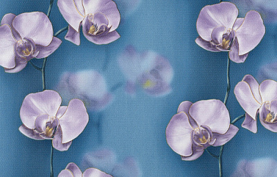 Брянские Обои Грация гфр 1 С6БР-ГП